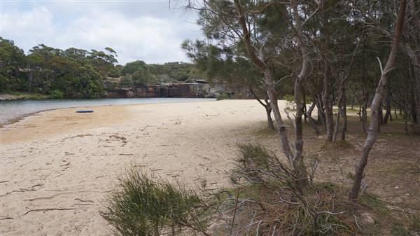 Wattamolla Beach (1/07/2016 - Credits: Mary Barltrop)