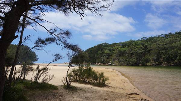 Wattamolla Beach (1/07/2016 - Credits: Mary Barltrop)