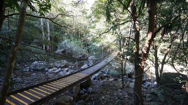 Minnamurra Rainforest Walk - Budderoo National Park (2/07/2016 - Credits: Mary Barltrop)