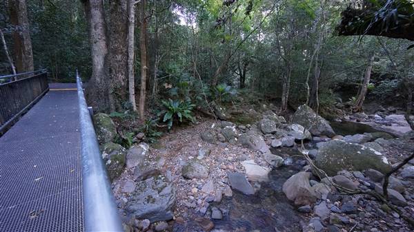 Minnamurra Rainforest Walk - Budderoo National Park (2/07/2016 - Credits: Mary Barltrop)