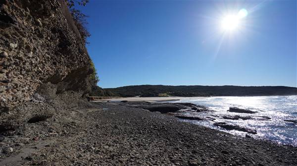 Frazer Beach Campground - Munmorah State Conservation Area (4/07/2016 - Credits: Mary Barltrop)
