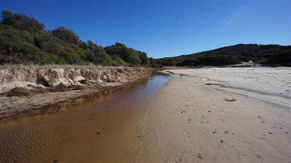 Frazer Beach Campground - Munmorah State Conservation Area (4/07/2016 - Credits: Mary Barltrop)