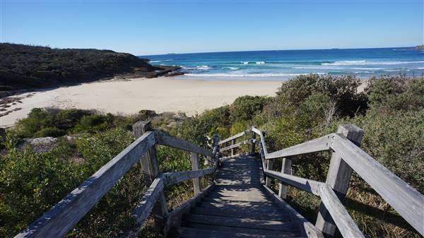 Frazer Beach Campground - Munmorah State Conservation Area (4/07/2016 - Credits: Mary Barltrop)