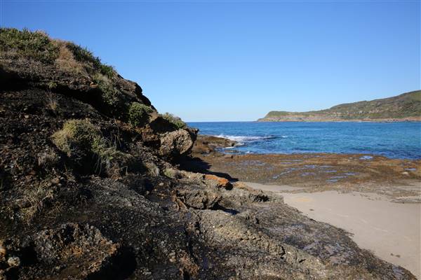 Munmorah State Conservation Area - Snapper Pt and Bongon Beach (4/07/2016)