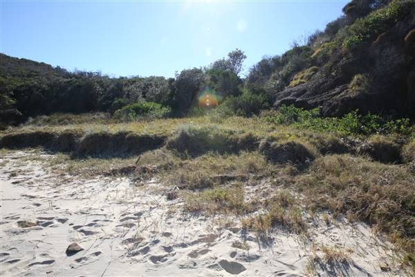 Munmorah State Conservation Area - Snapper Pt and Bongon Beach (4/07/2016)