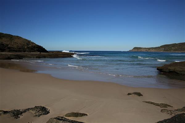 Munmorah State Conservation Area - Snapper Pt and Bongon Beach (4/07/2016)