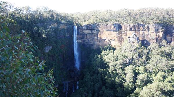 Fitzroy Falls & Twin Falls - Morton National Park (4/07/2016 - Credits: Mary Barltrop)