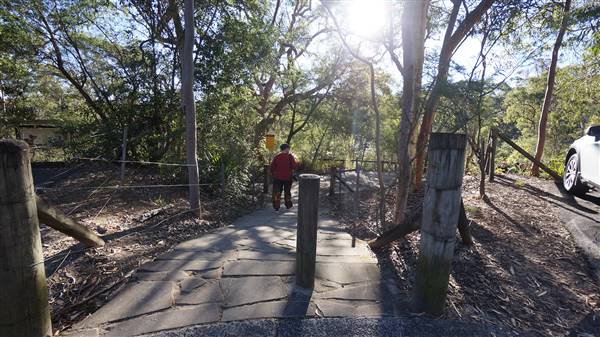 Somersby Falls picnic area - Brisbane Water National Park (4/07/2016 - Credits: Mary Barltrop)