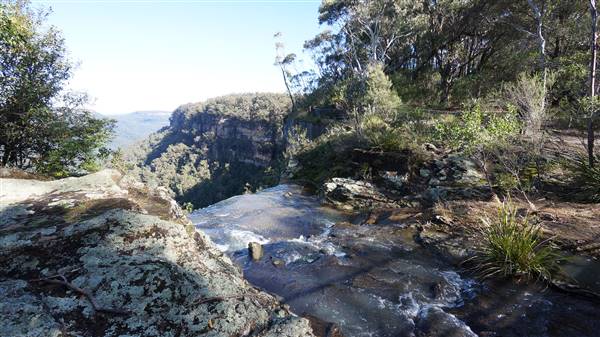 Fitzroy Falls & Twin Falls - Morton National Park (4/07/2016 - Credits: Mary Barltrop)