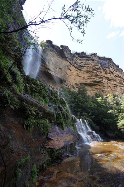 Katoomba Falls Reserve Walk & Tourist Park (5/07/2016 - Credits: Mary Barltrop)
