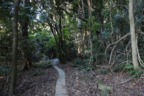 Mount Keira Scout Camp File 1 (5/07/2016)