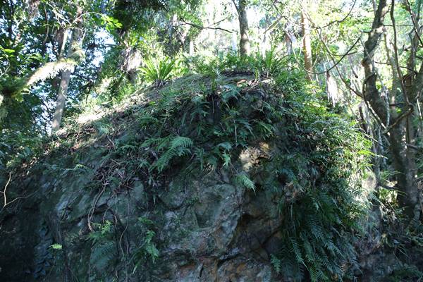 Mount Keira Scout Camp File 1 (5/07/2016)