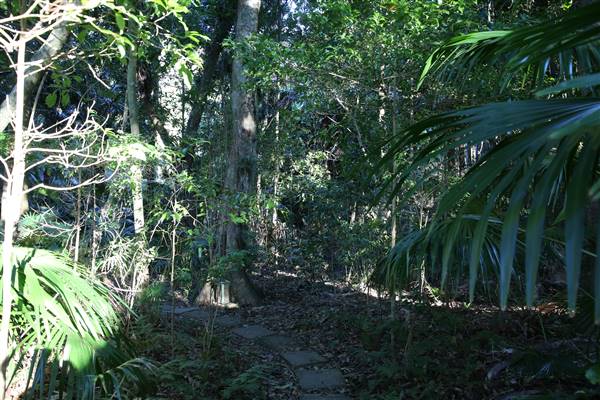Mount Keira Scout Camp File 1 (5/07/2016)