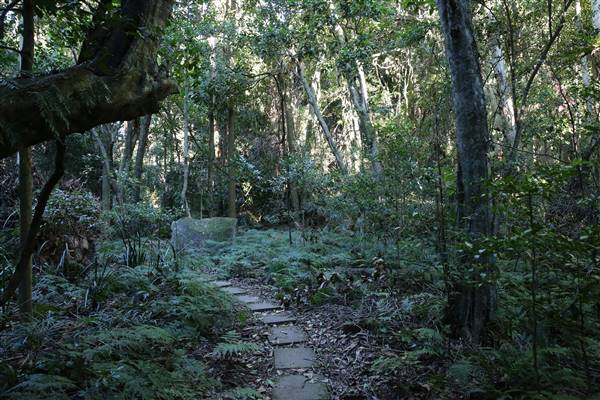 Mount Keira Scout Camp File 1 (5/07/2016)