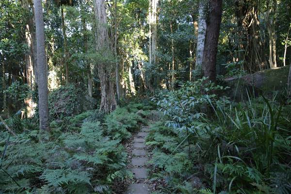 Mount Keira Scout Camp File 1 (5/07/2016)