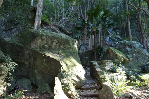Mount Keira Scout Camp File 1 (5/07/2016)