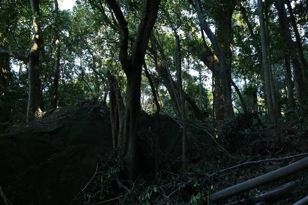 Mount Keira Scout Camp File 1 (5/07/2016)