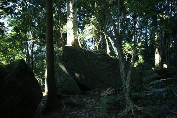 Mount Keira Scout Camp File 1 (5/07/2016)