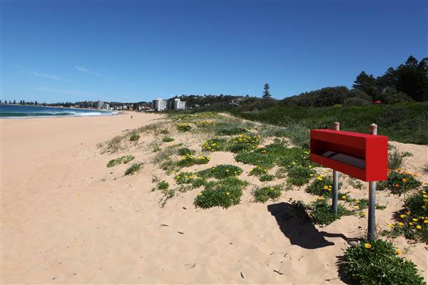 Narrabeen Beach (16/10/2016 - Credits: John Harris)