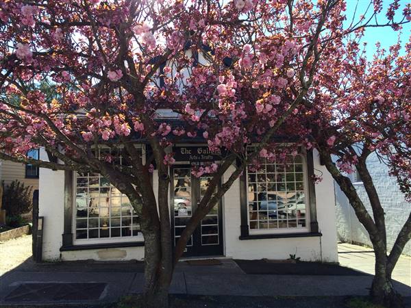 MT VICTORIA MAIN STREET (25/10/2016)