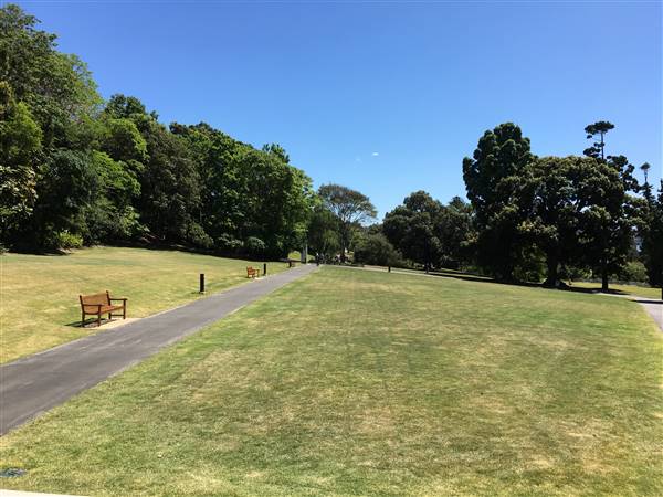 The Calyx - Royal Botanic Garden Sydney (6/11/2016 - Credits: Mechele Axford)