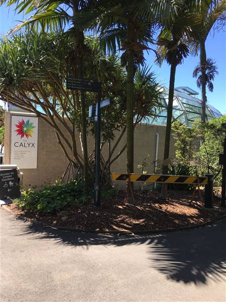The Calyx - Royal Botanic Garden Sydney (11/11/2016)