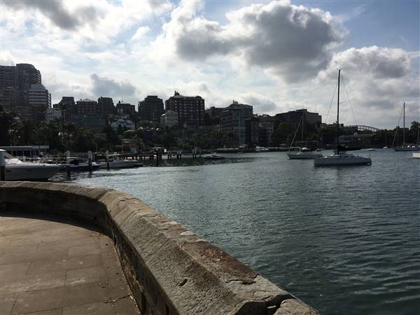 Beare Park Elizabeth Bay Marina (30/11/2016 - Credits: Mechele Axford)