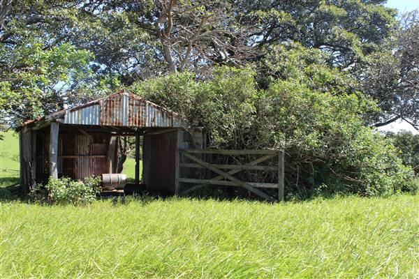 Rosebank Farm (1/04/2017 - Credits: Diana McLaren)