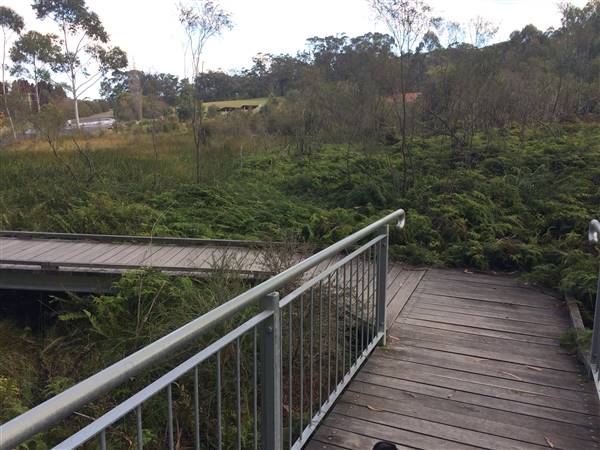 The Gully Walk, Katoomba (formerly Catalina Park) (24/05/2017 - Credits: Robyn Bersten)