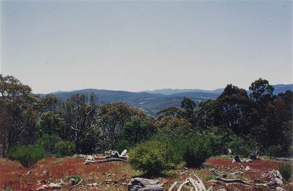 Snowy Mountains region (12/07/2017 8:27:59 PM)