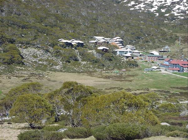 Snowy Mountains region (12/07/2017 8:28:02 PM)
