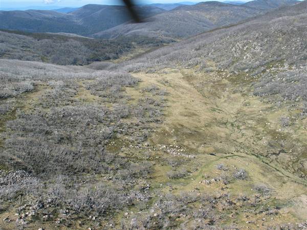 Snowy Mountains region (12/07/2017 8:28:09 PM)
