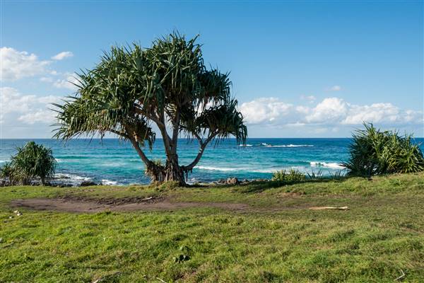 Hastings Point (26/07/2017)