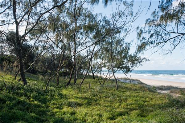 Hastings Point (30/05/2017 - Credits: Colin McDougall)