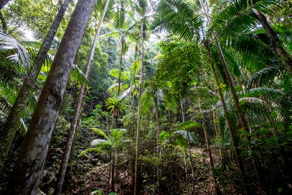 Tunsted Private Property Crystal Creek Valley (1/06/2017 - Credits: Colin McDougall)
