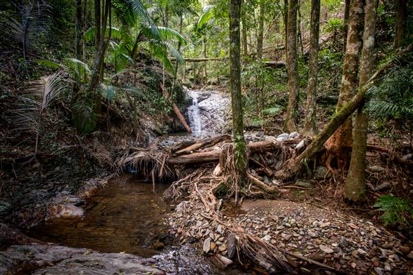 Tunsted Private Property Crystal Creek Valley (1/06/2017 - Credits: Colin McDougall)