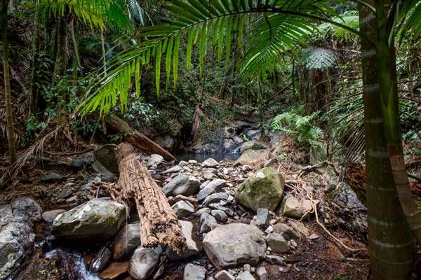 Tunsted Private Property Crystal Creek Valley (1/06/2017 - Credits: Colin McDougall)