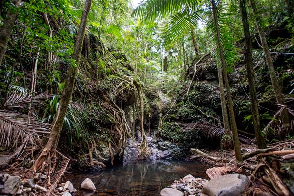 Tunsted Private Property Crystal Creek Valley (1/06/2017 - Credits: Colin McDougall)