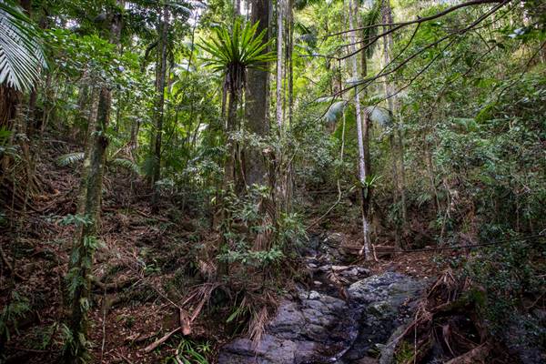 Tunsted Private Property Crystal Creek Valley (1/06/2017 - Credits: Colin McDougal)
