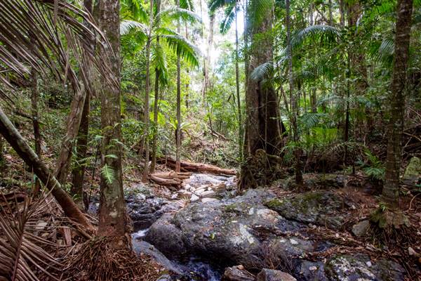 Tunsted Private Property Crystal Creek Valley (1/06/2017 - Credits: Colin McDougal)