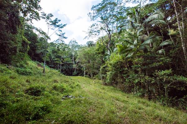 Tunsted Private Property Crystal Creek Valley (8/06/2017 - Credits: Colin McDougal)