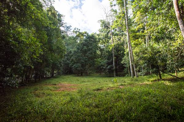 Tunsted Private Property Crystal Creek Valley (8/06/2017 - Credits: Colin McDougal)