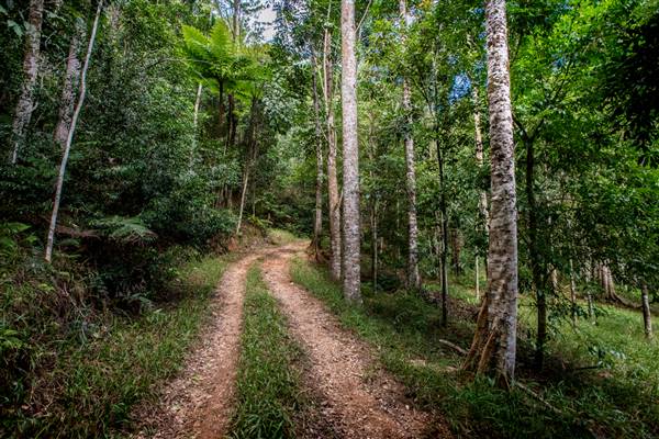 Tunsted Private Property Crystal Creek Valley (8/06/2017 - Credits: Colin McDougal)