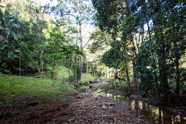 Tunsted Private Property Crystal Creek Valley (1/06/2017 - Credits: Colin McDougal)