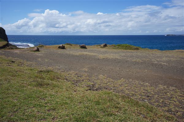 Bombo Headland Quarry (2/02/2018 - Credits: Mary Barltrop)