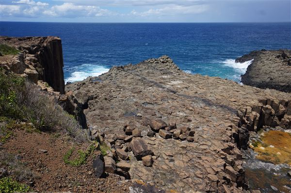 Bombo Headland Quarry (2/02/2018 - Credits: Mary Barltrop)