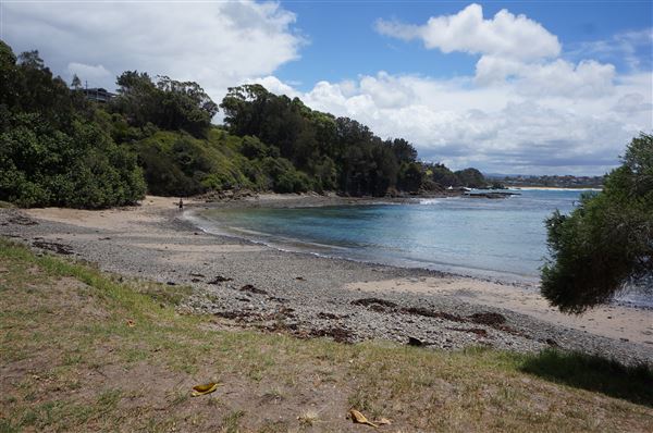 Cameron Boyd Reserve (2/02/2018 - Credits: Mary Barltrop)