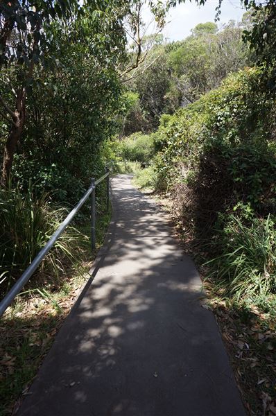 Cameron Boyd Reserve (2/02/2018 - Credits: Mary Barltrop)