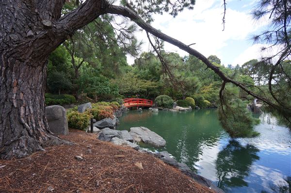 Auburn Botanic Gardens - Japanese Garden (4/02/2018 - Credits: Mary Barltrop)