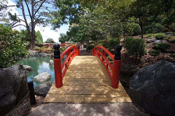 Auburn Botanic Gardens - Japanese Garden (4/02/2018 - Credits: Mary Barltrop)